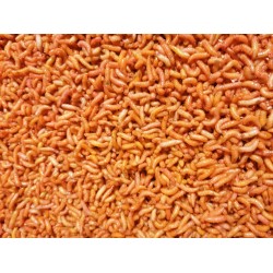 Csonti Narancssárga 1 liter