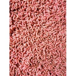 Csonti Piros 1 liter Csonti Piros 1 liter