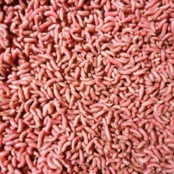 Csonti Piros 1 liter Csonti Piros 1 liter