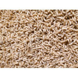 Csonti natúr 1 liter