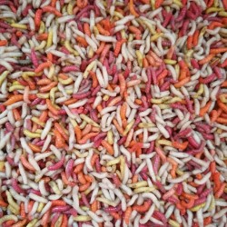 Csonti mix 1 liter Csonti mix 1 liter