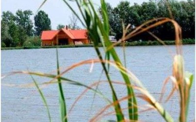 Etetőanyag teszt a Tómajorban